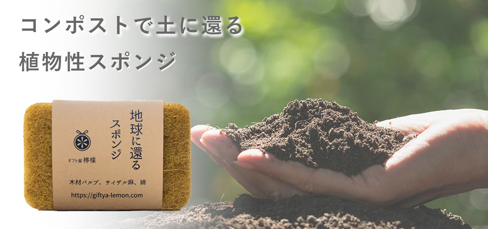 地球に還るスポンジ